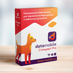 ПО DataMobile, версия Стандарт Pro в Армавире